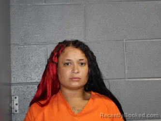 Mugshot of TIONNA ANGELIC BEEBE booked in Canadian County, Oklahoma on July 30, 2026
