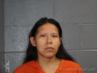 Mugshot of DESTINY LEXUS WILSON booked in Canadian County, Oklahoma on August 2, 2026