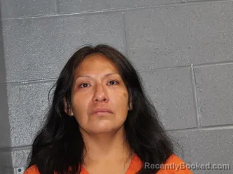 Mugshot of Michelle Dawn Twins booked in Canadian County, Oklahoma on August 14, 2026