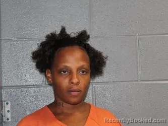 Mugshot of Eleysa Tychelle Adams booked in Canadian County, Oklahoma on August 31, 2026