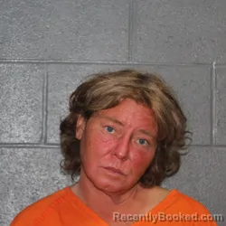 Mugshot of Karyn Marie Hardiman booked in Canadian County, Oklahoma on September 3, 2026