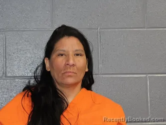 Mugshot of Ashley Dawn Fletcher booked in Canadian County, Oklahoma on September 15, 2026
