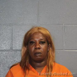 Mugshot of Pamela Brandall Fields booked in Canadian County, Oklahoma on October 3, 2026