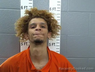 Mugshot of DERRICK GARRODE DOBBS