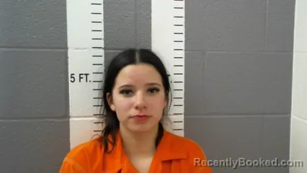 Mugshot of SIERRA PAIGE HICKMAN