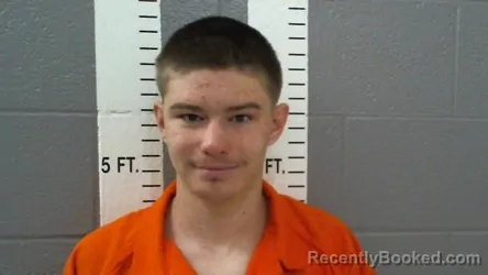 Mugshot of MASON ANTHONY BLEVINS
