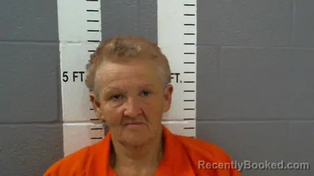 Mugshot of LORENZA LORI AYALA HERNANDEZ