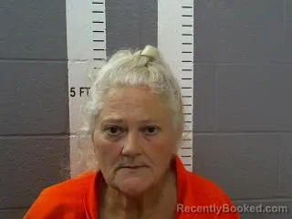 Mugshot of KASANDRA JO VOWELL