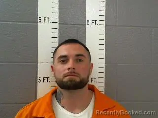 Mugshot of BRANDON LEE SMITH