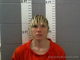 Mugshot of PAIGE LYNN HILLS
