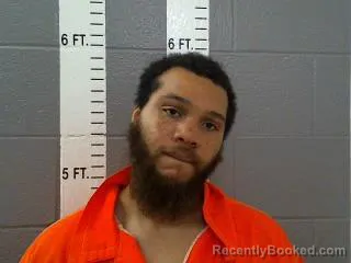Mugshot of PARIS DEAN CHATMAN
