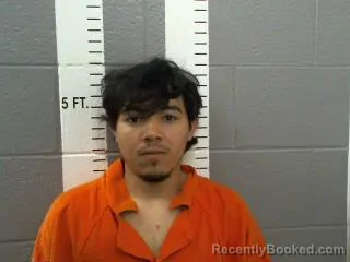 Mugshot of JOSE FERNANDO CRUZE ALVAREZ