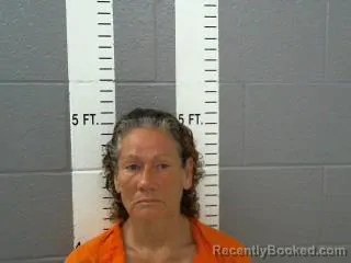 Mugshot of CRYSTAL DAWN VANTINE