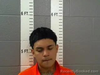Mugshot of GERARDO MICHAELL SEGURA