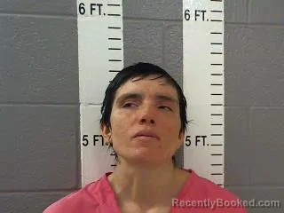 Mugshot of PAIGE LYNN HILLS booked in Carter County, Oklahoma on May 15, 2026