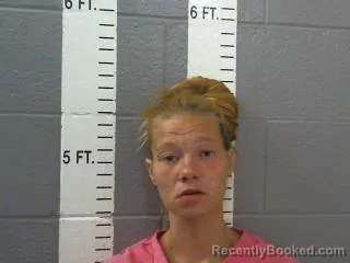 Mugshot of Sierra Trish Wheeler booked in Carter County, Oklahoma on August 5, 2026