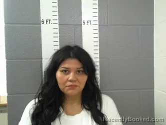 Mugshot of Hailey Nicole Sampson booked in Carter County, Oklahoma on September 11, 2026