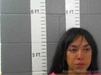 Mugshot of Brittney Morgan Davis booked in Carter County, Oklahoma on September 25, 2026