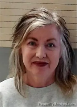 Mugshot of DONNA RAYE HARLESS