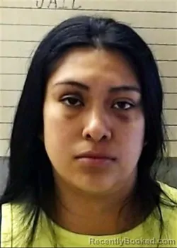 Mugshot of VANESSA SHIANINE GOLDEN