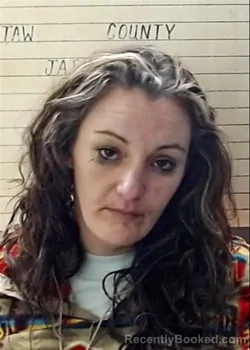 Mugshot of NATASHA DELANE JORDAN