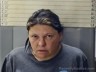 Mugshot of KERRI LOUISE WALLS booked in Choctaw County, Oklahoma on April 15, 2026