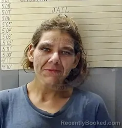 Mugshot of ADARA RENEE LINDAMOOD booked in Choctaw County, Oklahoma on July 29, 2026