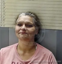Mugshot of ELVIRA DELANGEL booked in Choctaw County, Oklahoma on July 30, 2026