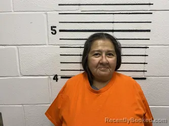 Mugshot of DELIA ROSE NOLAN- TOPPER