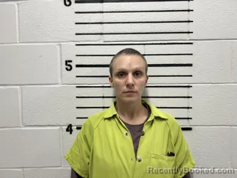 Mugshot of DEBRA DOANE