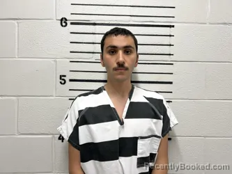 Mugshot of ABDULLAH ALSHAMMARI