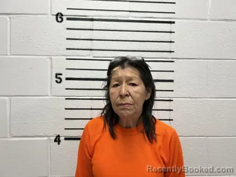 Mugshot of ANNETTE JANE HERNANDEZ