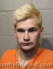 Mugshot of BLAKE SHELTIN SANCHEZ