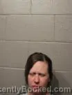 Mugshot of HELEN DIANE WREN booked in Cleveland County, Oklahoma on June 20, 2026