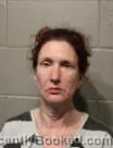 Mugshot of MELISSA ANN LAWLESS booked in Cleveland County, Oklahoma on June 15, 2026