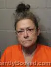 Mugshot of Susan Nicole Johnson booked in Cleveland County, Oklahoma on August 30, 2026