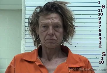 Mugshot of AMANDA ROSE KLEINSCHMIDT