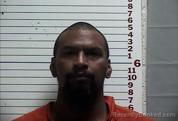 Mugshot of DION RAHEAM TERRY