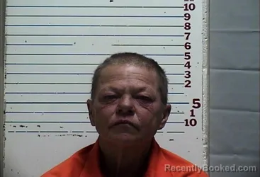 Mugshot of JINA CHRISTI RAETHER