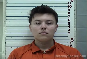 Mugshot of ASHTEN HOLMES