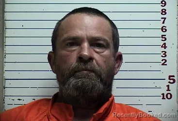 Mugshot of BURT LYNN BROWN