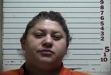 Mugshot of CRYSTAL JO LAMBERT