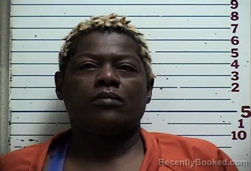 Mugshot of ANDREA LASHAY WYNN