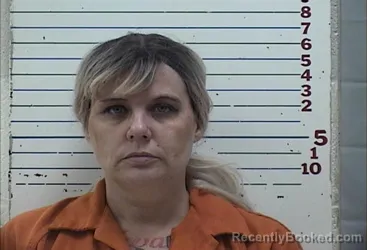 Mugshot of SHERRI LEIGH SCHMIDT