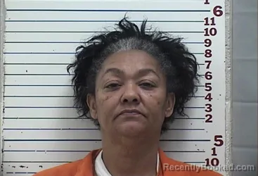 Mugshot of NICOLE BRUNDIDGE
