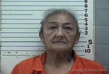 Mugshot of ILENE FAITH HERNANDEZ