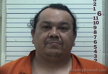 Mugshot of JOEL THOMAS  MOTAH