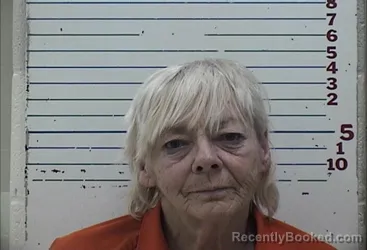 Mugshot of PEGGY VANISKO