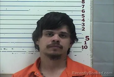 Mugshot of AUSTIN LEE WILSON