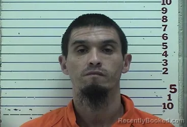 Mugshot of CHRISTOPHER NIEDO